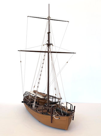 Model Image
